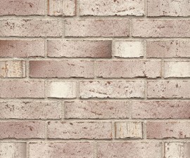 "Feldhaus Klinker" klinkerinės plytelės R920